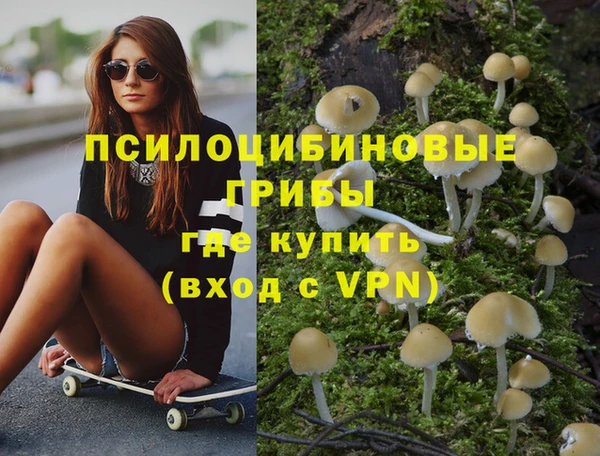 винт Алексеевка