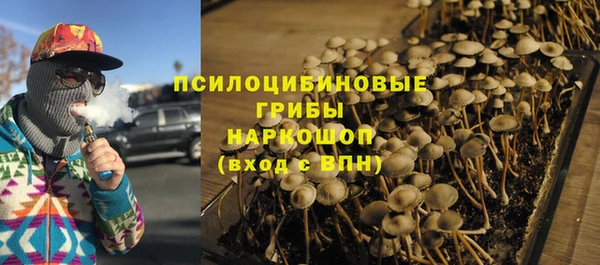 твердый Алзамай