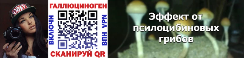 darknet как зайти  Томмот  Псилоцибиновые грибы Cubensis 